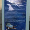 111201-Manifestazione Piazza Borsa (11)